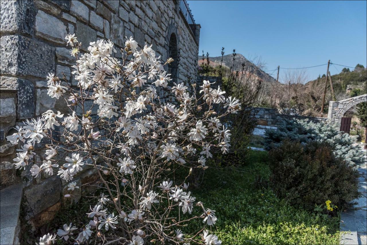 Stone Mansion Anavryti, Αμα 20569 Villa Мистрас Екстериор снимка